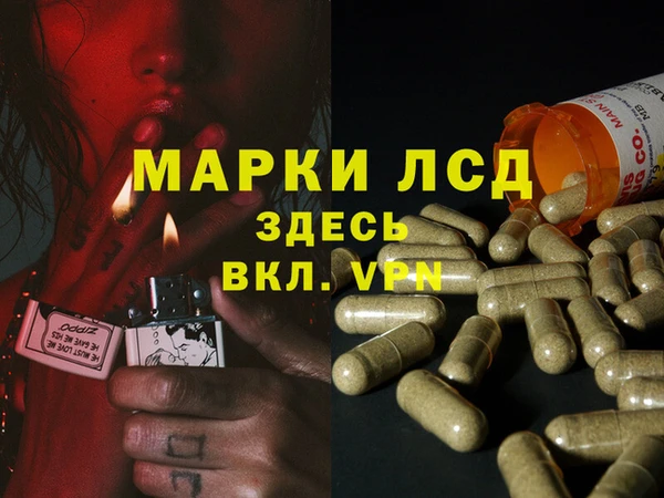 мяу мяу мука Алексин